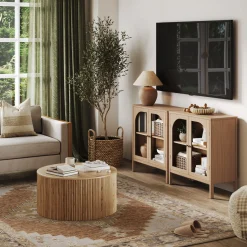 Arched Glass Door TV Console for TVs up to 65