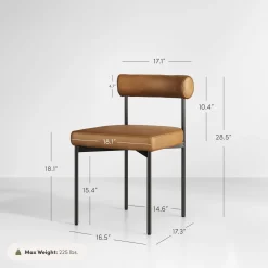 Faux Leather Modern Dining Chair (Set of 2)