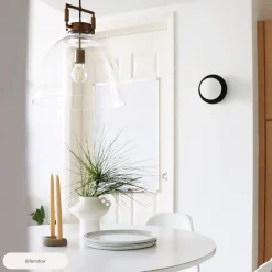 Glass Dome Pendant Lights Brass (Set of 2)