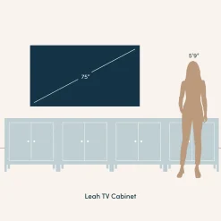 Seagrass Arched TV Console Cabinet for TVs up to 100